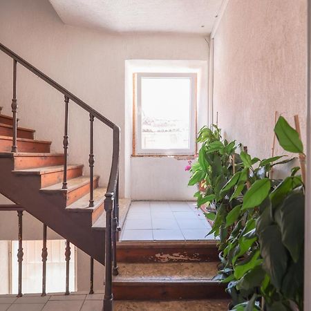 Cozy Studio Cvita Zadar Luaran gambar